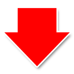 Buy Black Mall Tokens Now